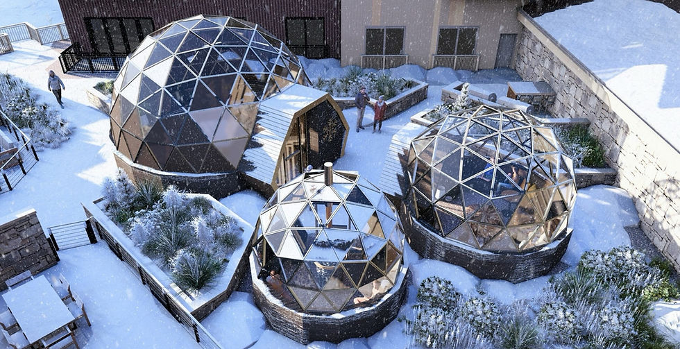 Imperial Chalets interior rendering